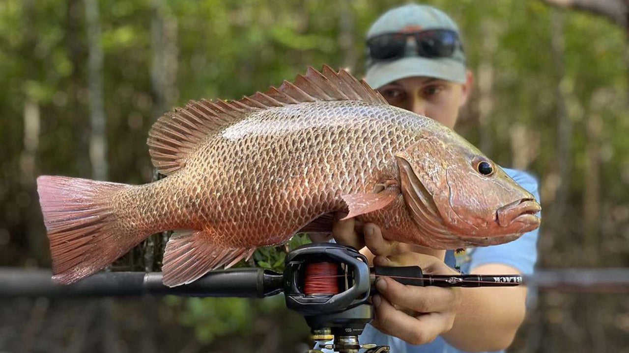 日本とアメリカにおける釣り文化の違い