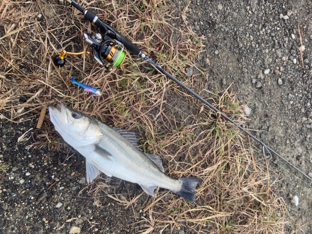 Image #1 from 晋也 光本