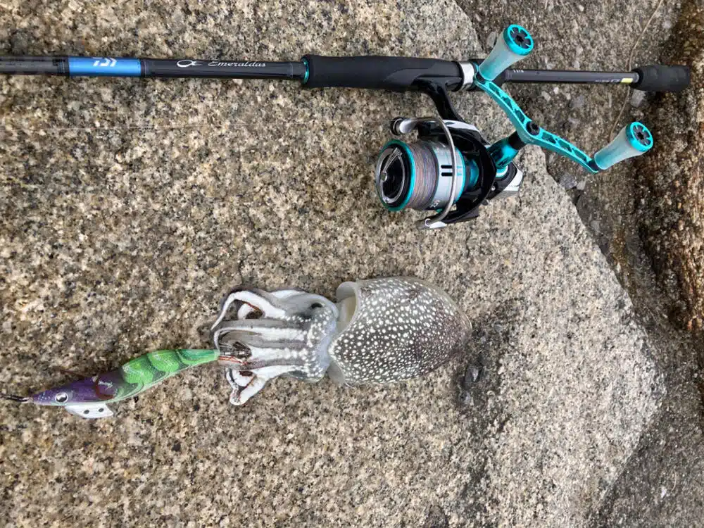 Image #1 from 大輔 宮内