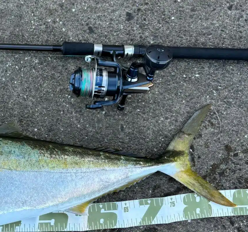 Image #1 from 秋光高塚