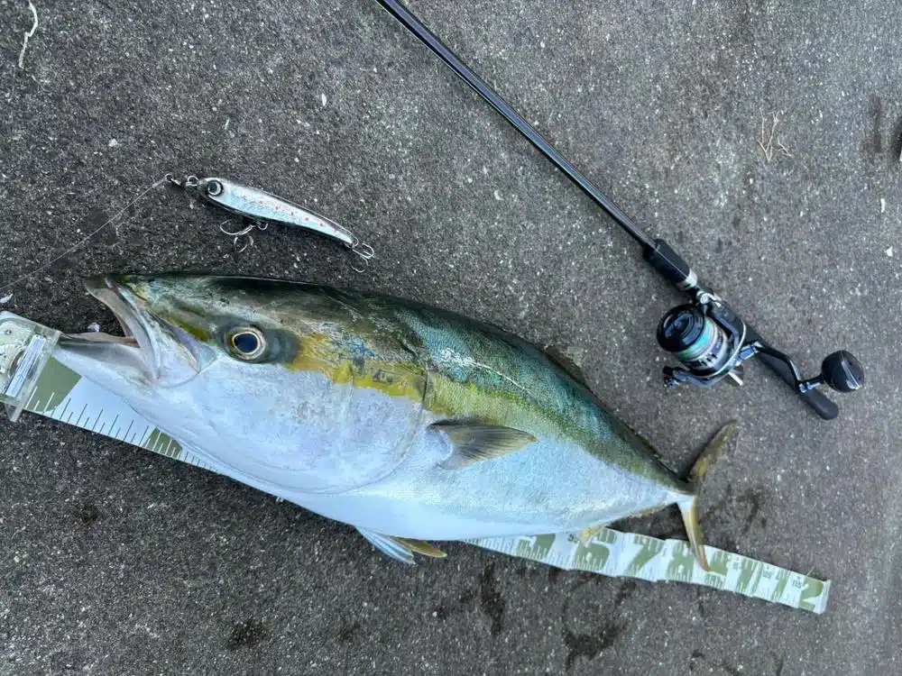 Image #2 from 秋光高塚