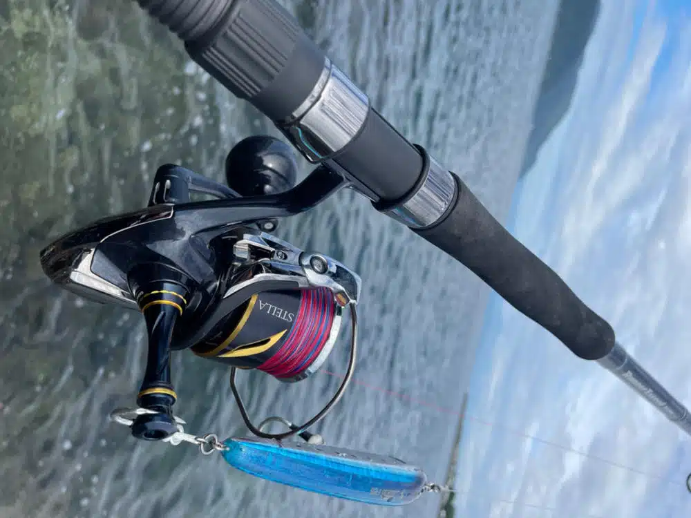 Image #1 from Anonymous