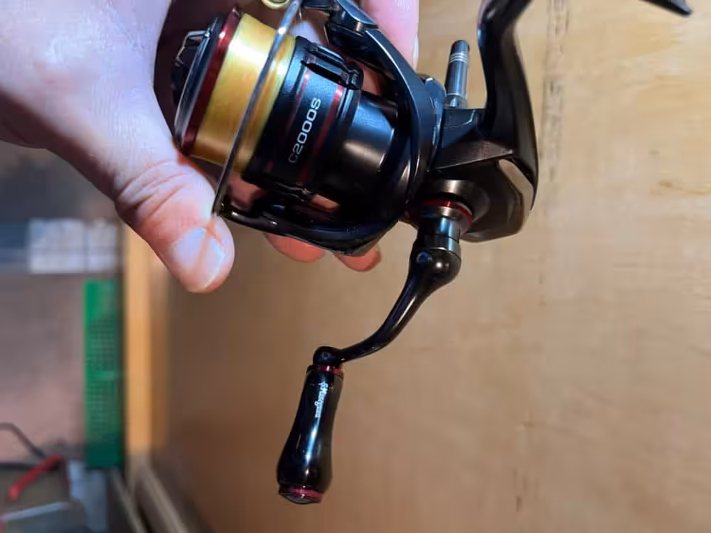 Image #1 from Anonymous