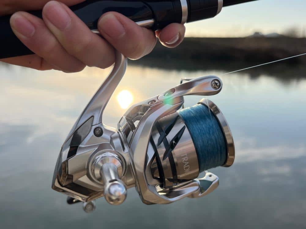 Image #1 from Anonymous