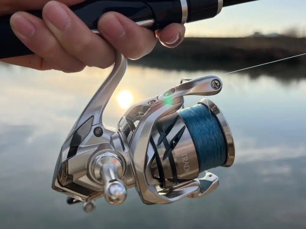 Image #1 from Anonymous