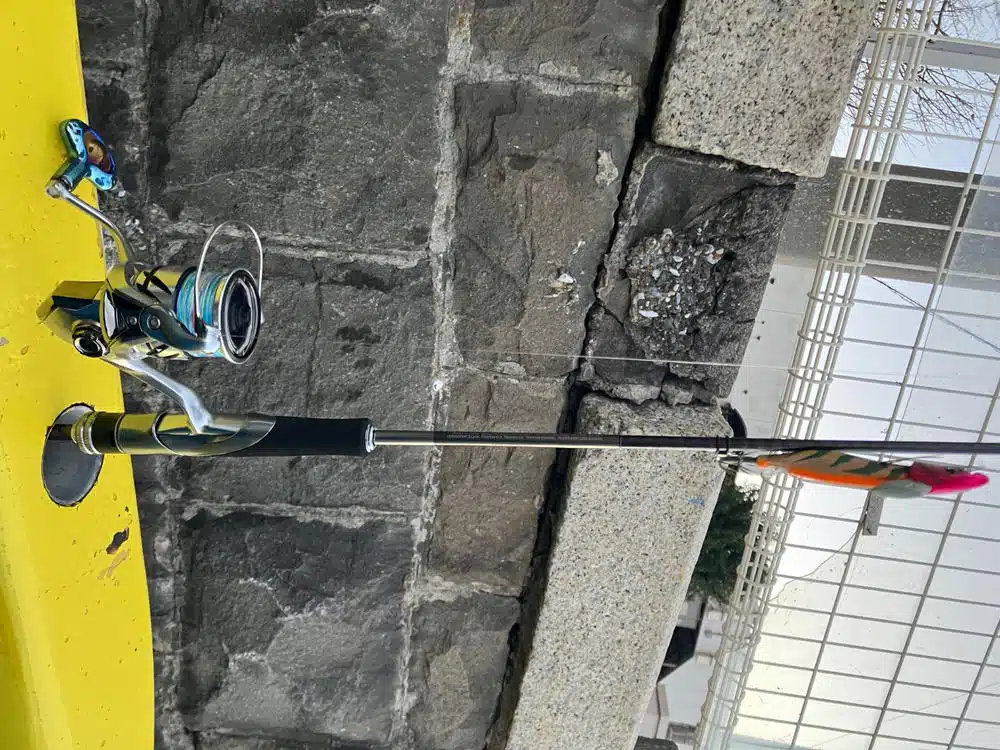 Image #1 from Anonymous