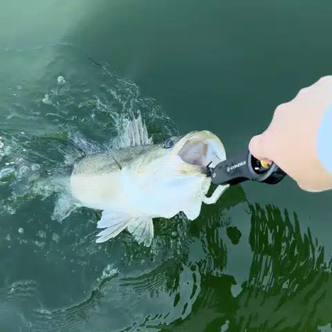 01 e6a9ff8b dffa 4b1a aebc