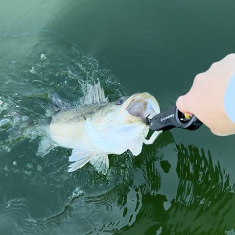 【コスパ◎】ゴメクサスの最強フィッシュグリップを徹底インプレ!【おすすめ】 9 01 e6a9ff8b dffa 4b1a aebc