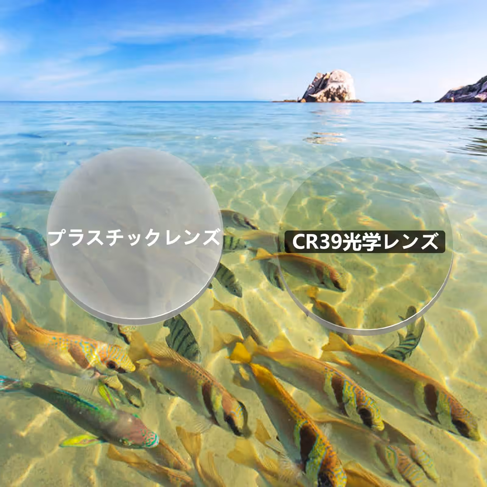 水中の魚とレンズの比較