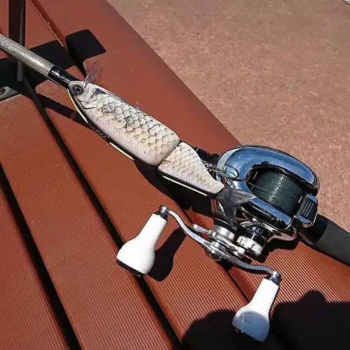 初心者向け!バス釣り入門! 4 バス釣 ベイトタックル