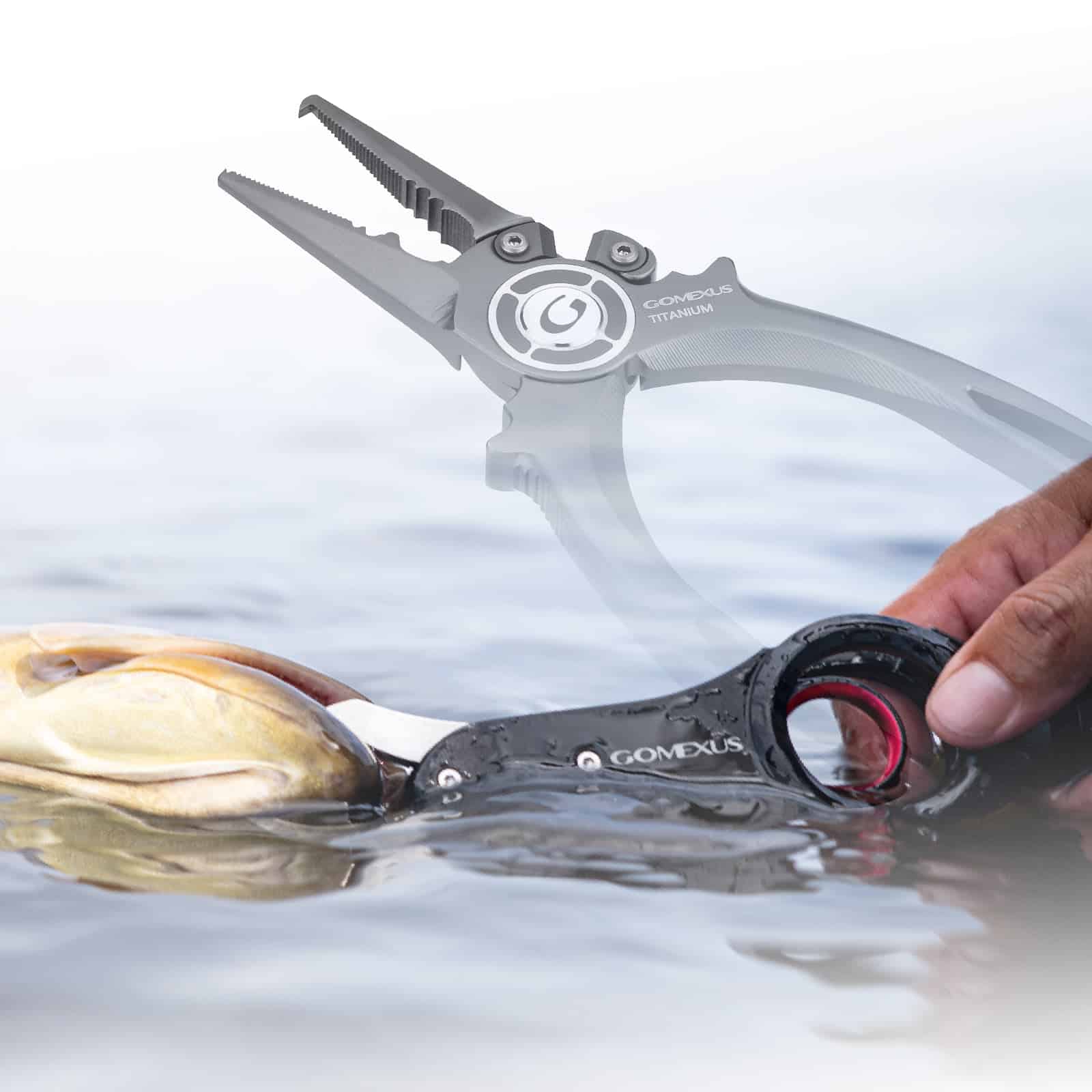 こんにちは。 GOMEXUS です。 6 1 07