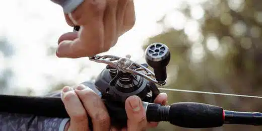 123DS GOMEXUS9 520x500 641cbd76 81f1 496a a331 52f4a1e4e8a5