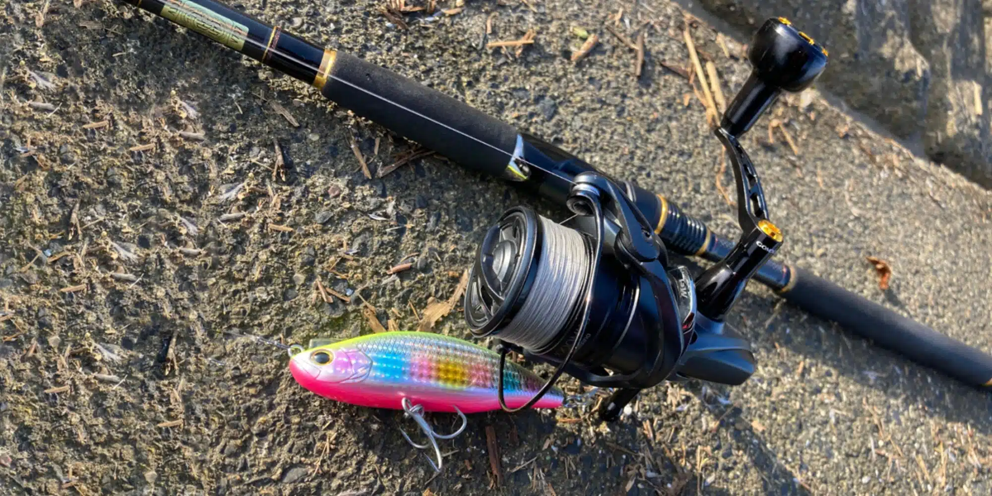 123 f7e68d5c 936e 4680 8b21 20b824a7f456