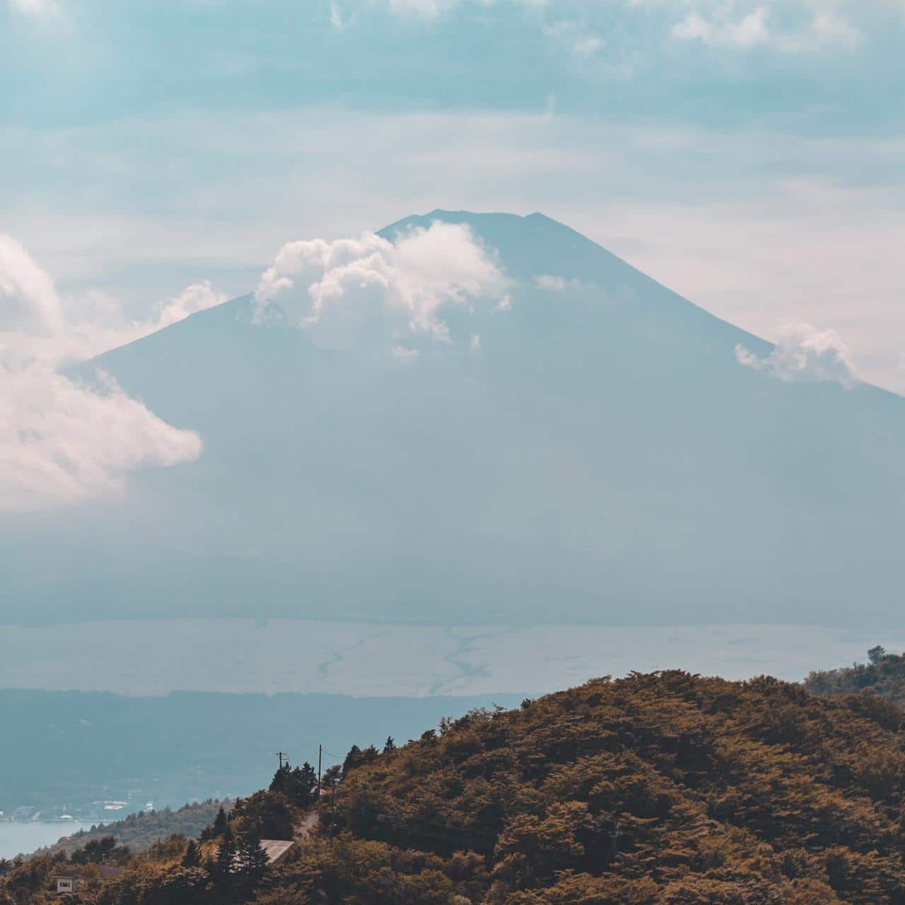 ゴメクサスのディーラーストーリー 2 1280X1280 1