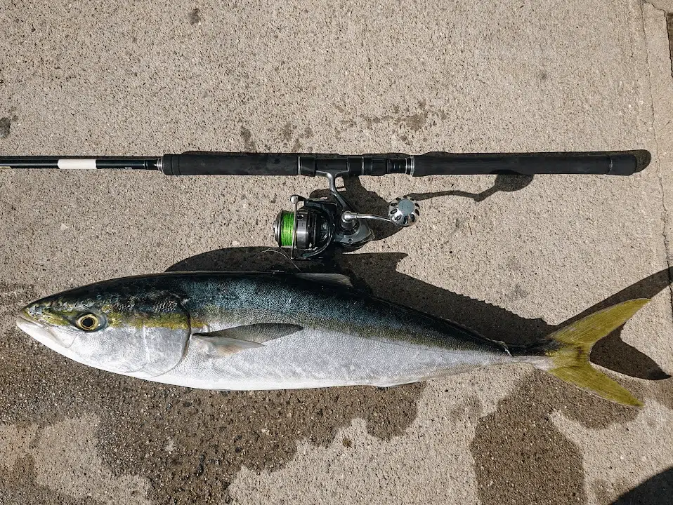 14カルディアをゴメクサスのアルミハンドルノブでカスタム 5 ゴメクサスカスタムハンドル魚図