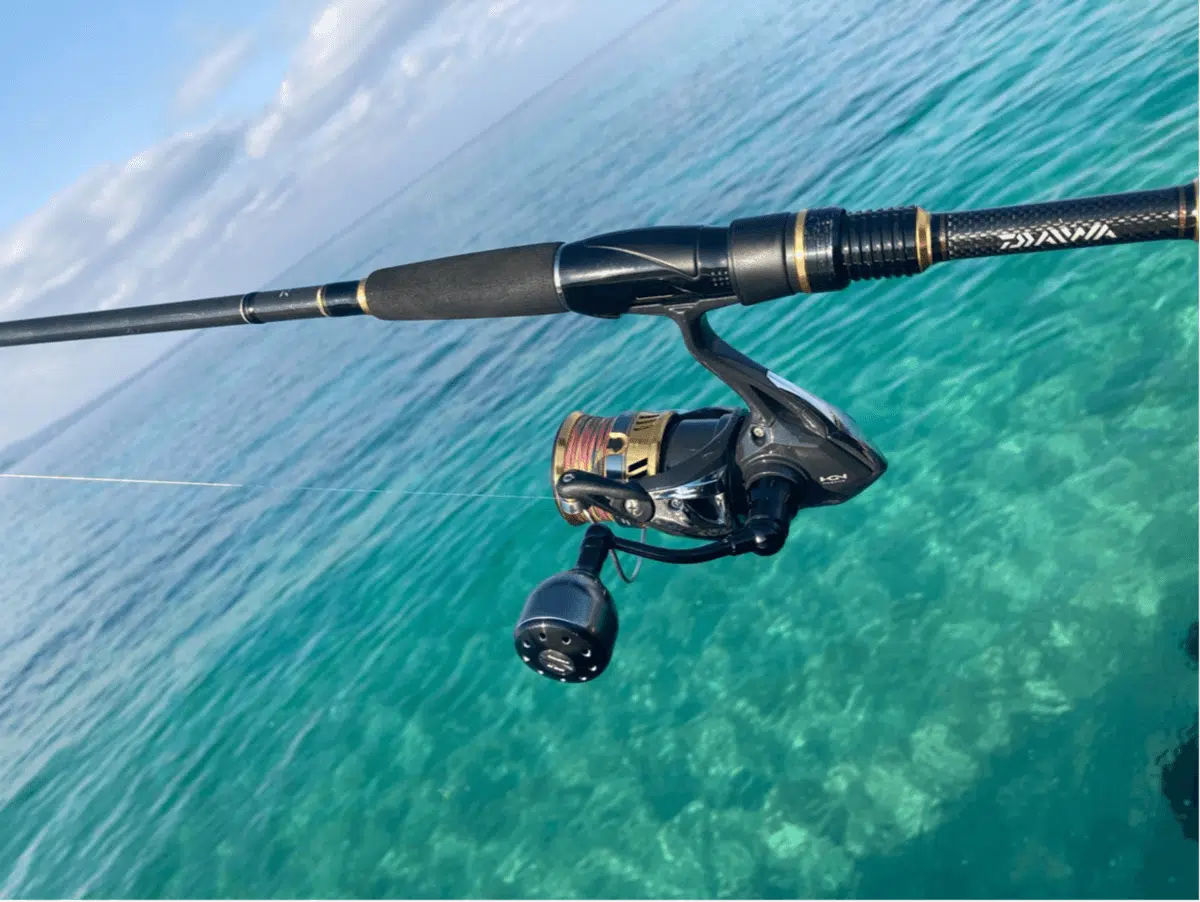 ゴメクサスの共回り式ハンドルはリールへのカスタム後の実釣図