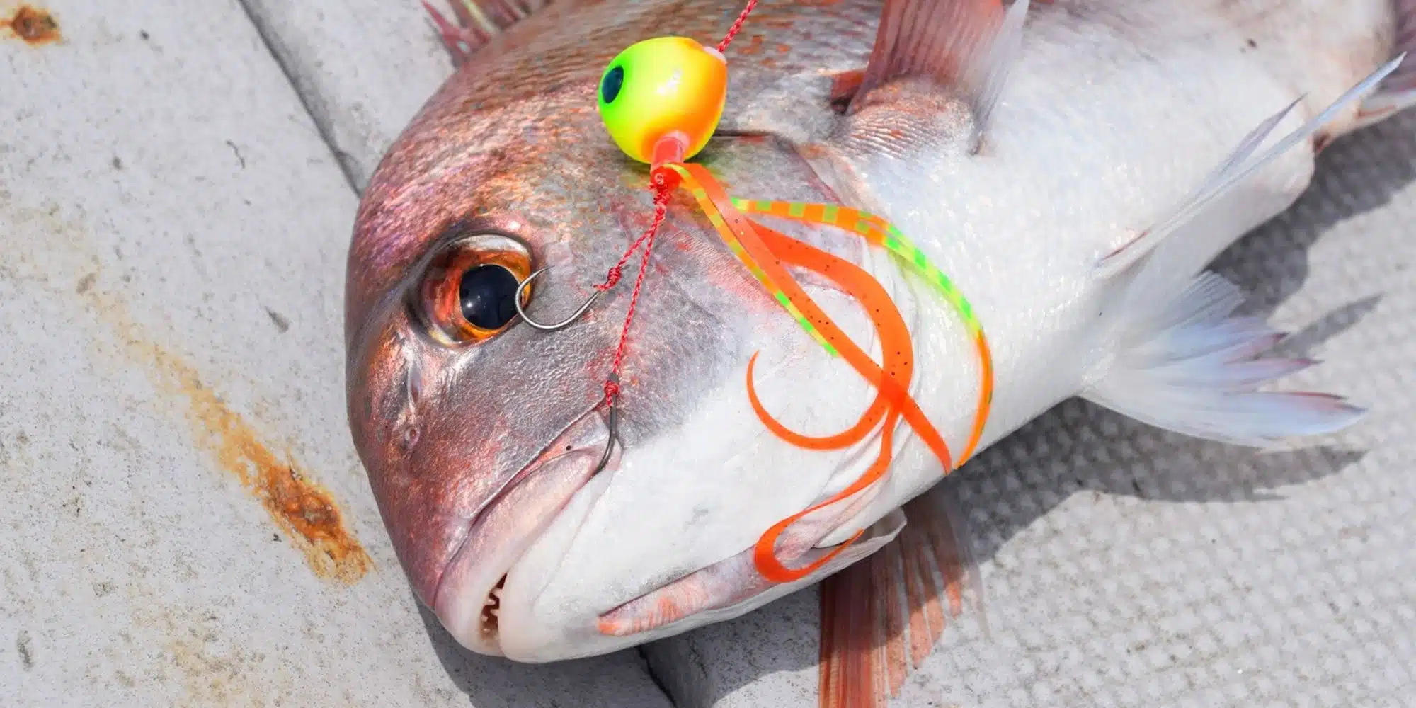 1 16160f53 bfa0 4e8c ac9b d69c4e183a45