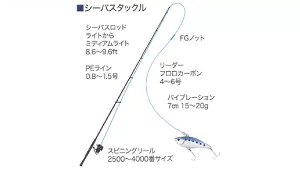 初心者必見! シーバス(スズキ)完全マニュアル その② 2 20230928