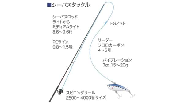 初心者必見! シーバス(スズキ)完全マニュアル その② 2 20230928