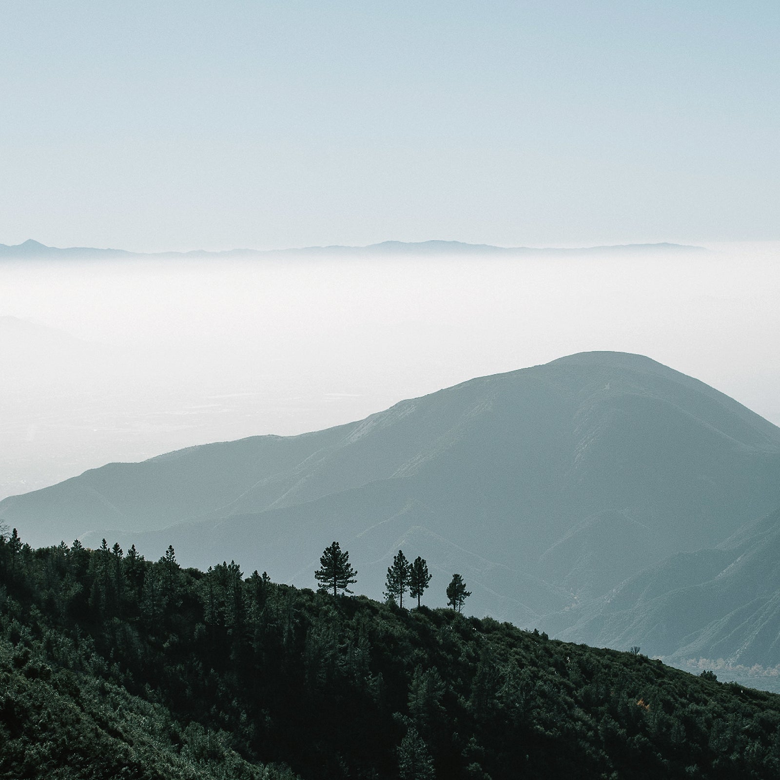 ゴメクサスのディーラーストーリー 4 20250211 152238