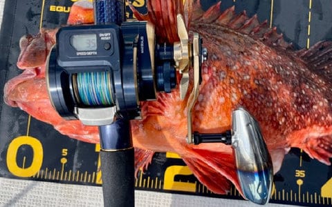 ゴメクサスのT105を徹底レビュー!装着方法や使い心地を紹介 14