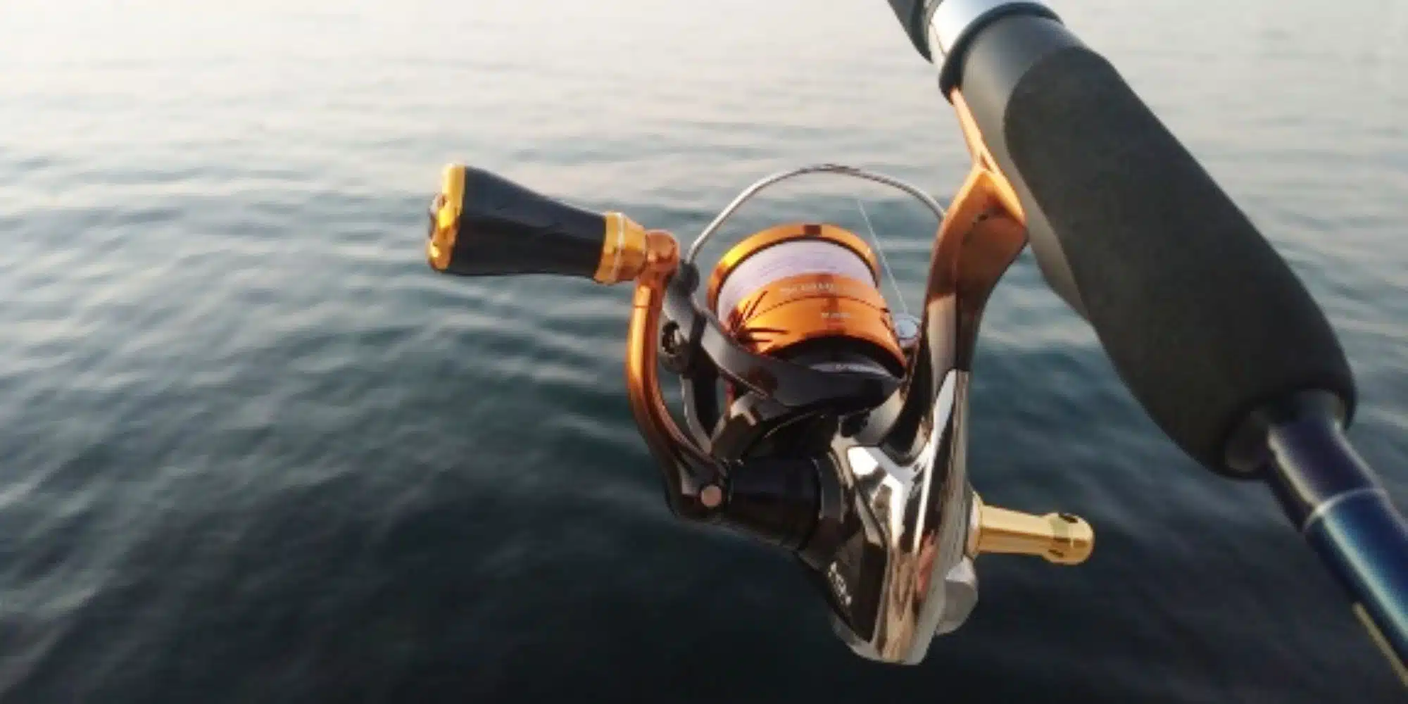 28 2000x1000 721b9f59 bcae 407c b332 6fe076e6788a