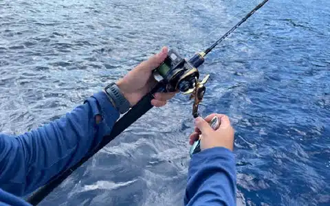 ゴメクサスのT105を徹底レビュー!装着方法や使い心地を紹介 13