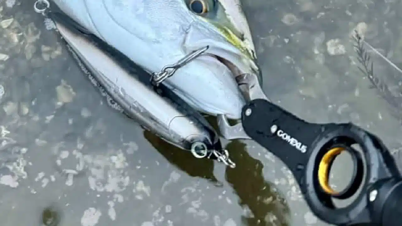 34 8abbfece 7952 4a57 8906 340d13e19ece