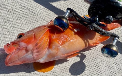 好きなハンドルとノブを組み合わせてカスタマイズ!リールのカスタムを楽しもう 9