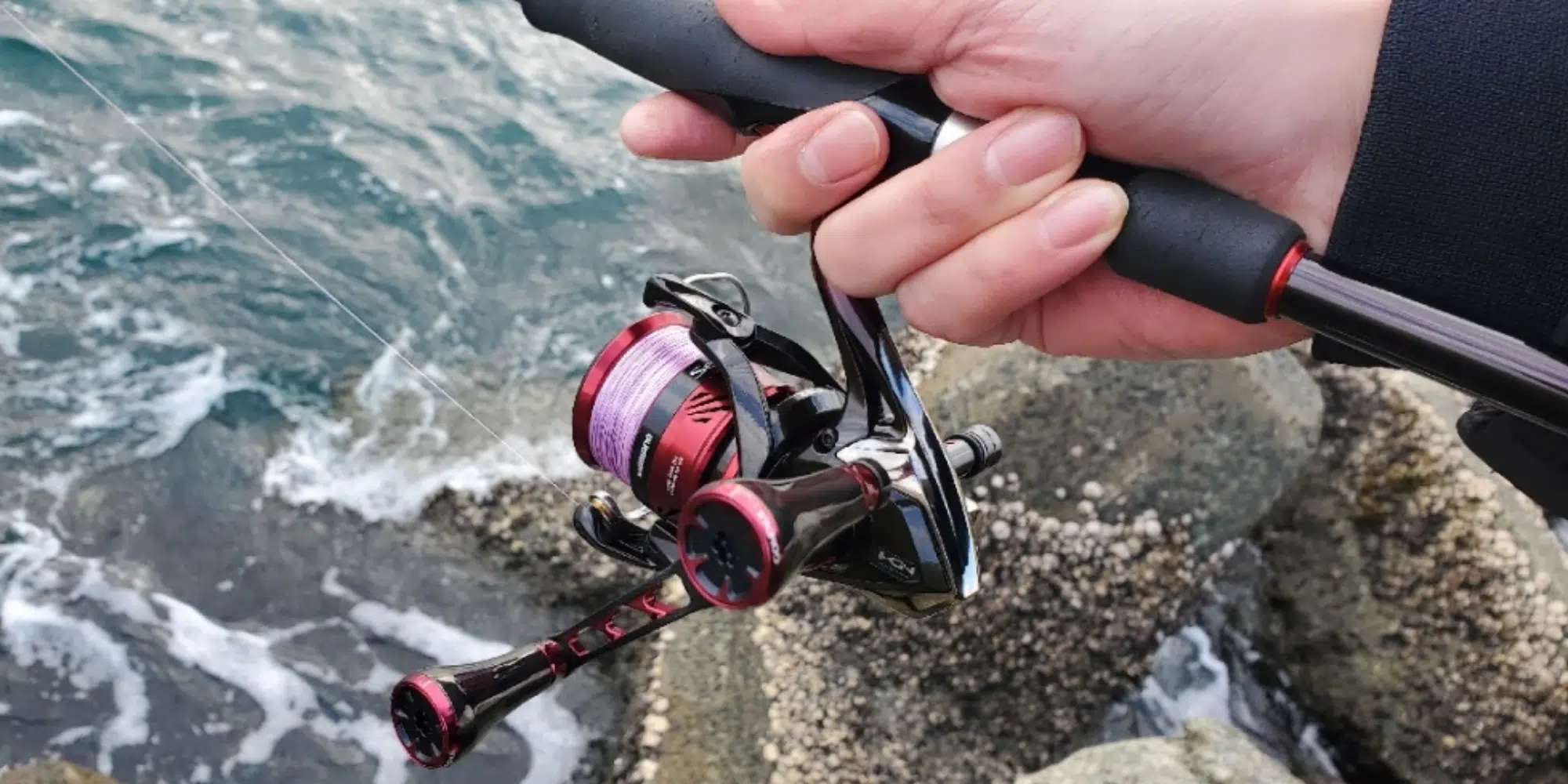 8 2000x1000 52a1d1a1 081f 4d54 bdbb d369a8b32f8b