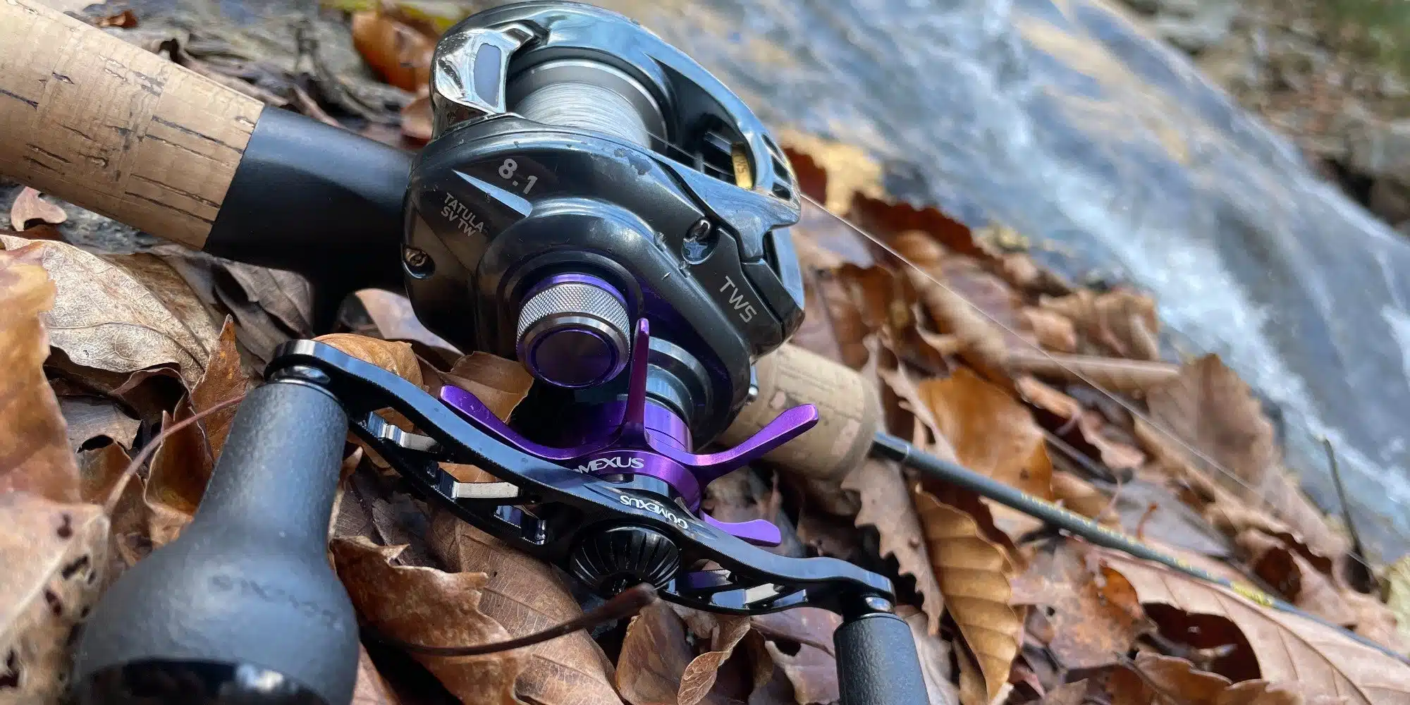 IMG 9507 2000x1000 f8c6b236 7052 4b87 a50e 371bfbb8f5d2