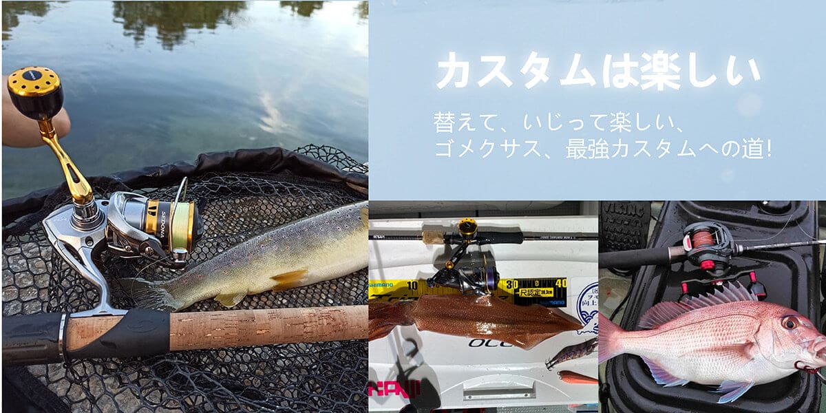 ゴメクサス　アルミ製A30