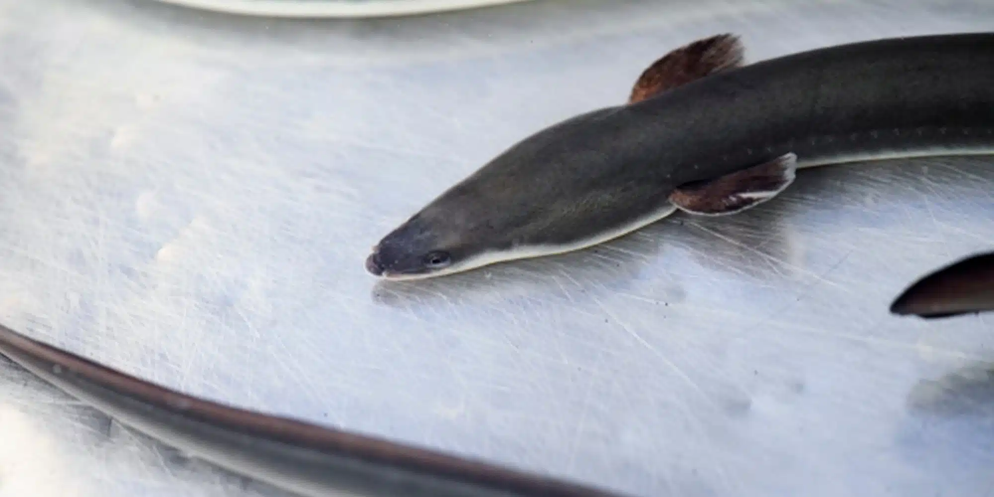 a816a3b3ac9e2a64c812c0ba9db59ff4