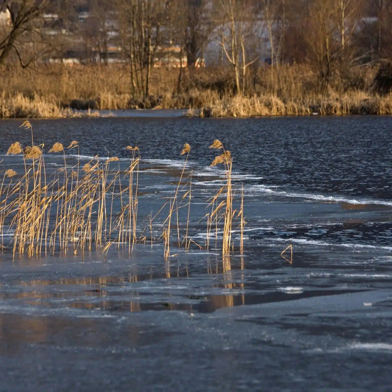 ゴメクサスのディーラーストーリー 3 b2997d56 91c1 481d a519 83ed066fbdff