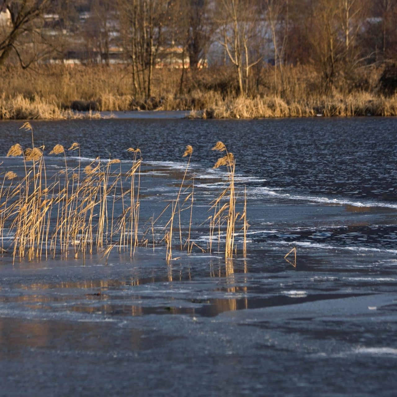 ゴメクサスのディーラーストーリー 3 b2997d56 91c1 481d a519 83ed066fbdff