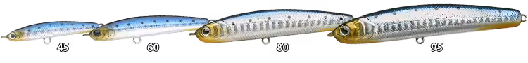 ゴメクサス　ワンダー 80