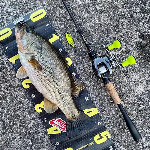 初心者向け!バス釣り入門! 2 バス釣