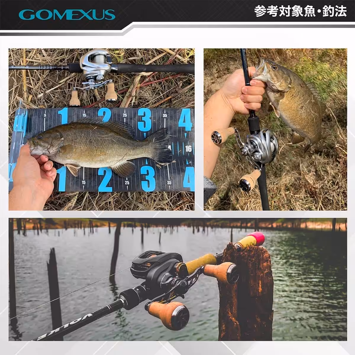 ゴメクサス ダブルハンドル　コルク