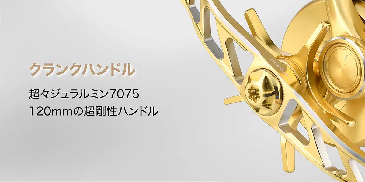 ゴメクサス　BDH120-TA30