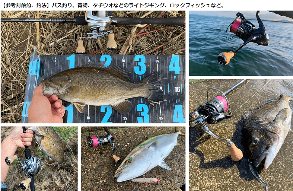 ゴメクサス　タッチノブ　対象魚” ></p>
<p style=