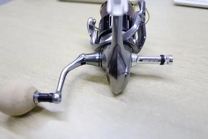 ゴメクサス　C38