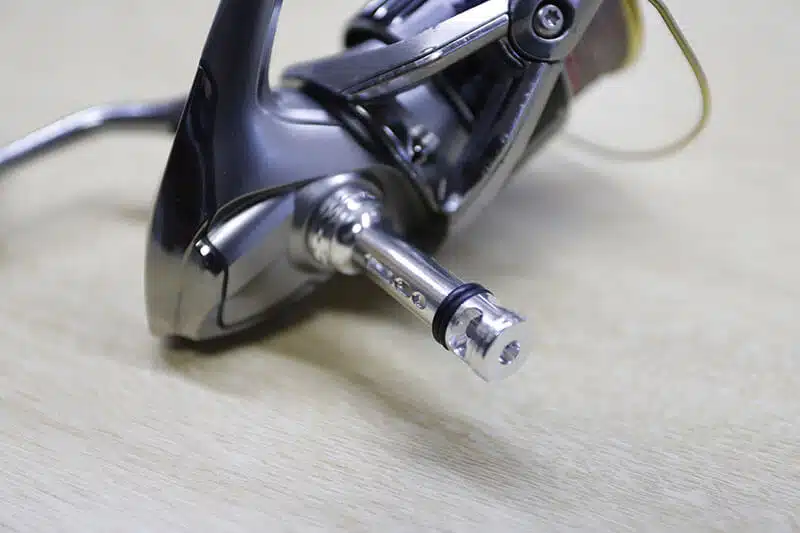 ゴメクサス　C38