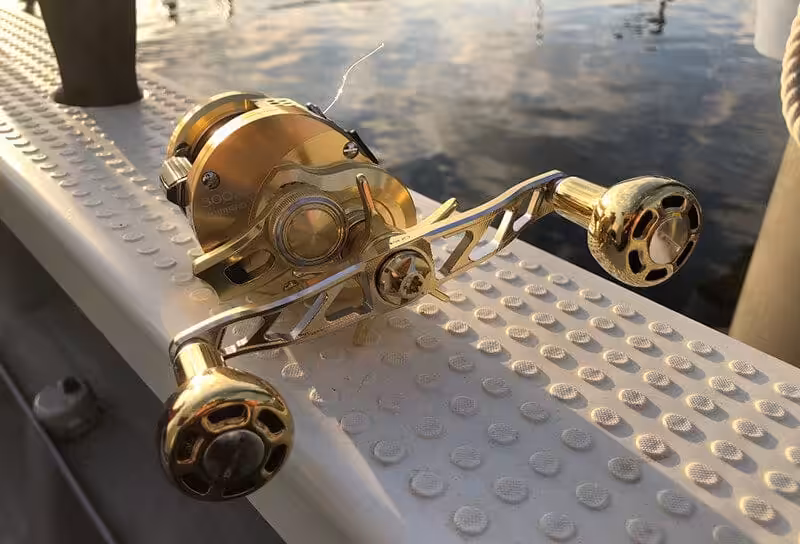 ゴメクサス　22オシアコンクエスト