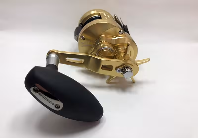 ゴメクサス　22オシアコンクエスト