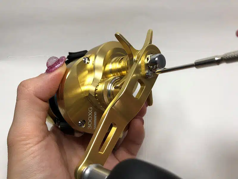 ゴメクサス　22オシアコンクエスト