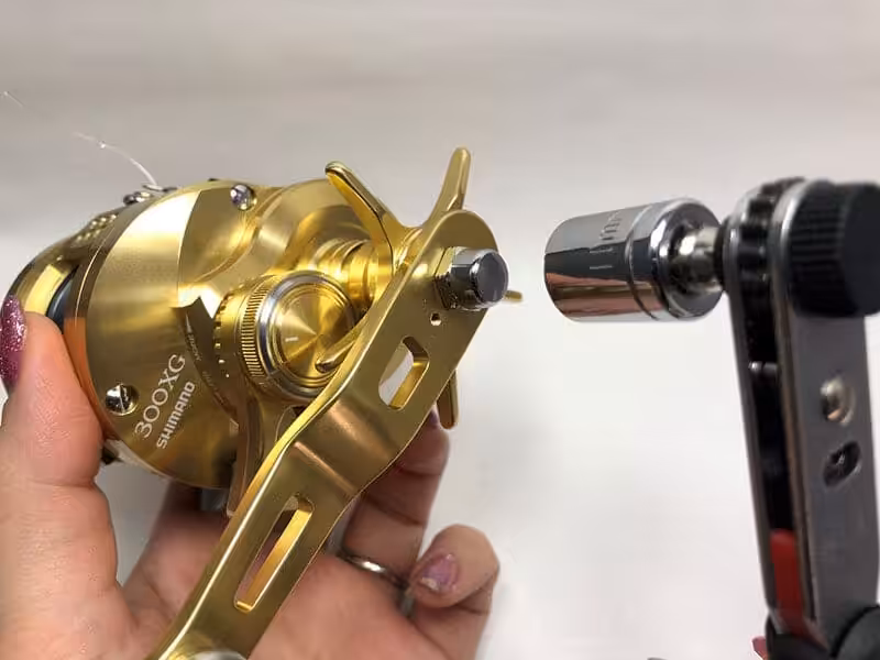 ゴメクサス　22オシアコンクエスト