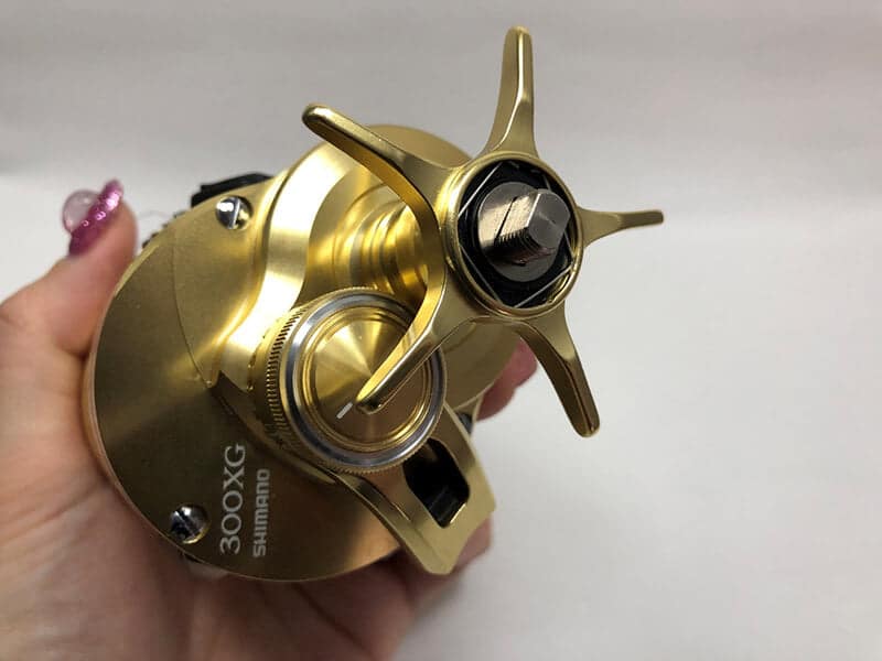 ゴメクサス　22オシアコンクエスト