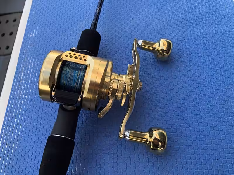 ゴメクサス　22オシアコンクエスト