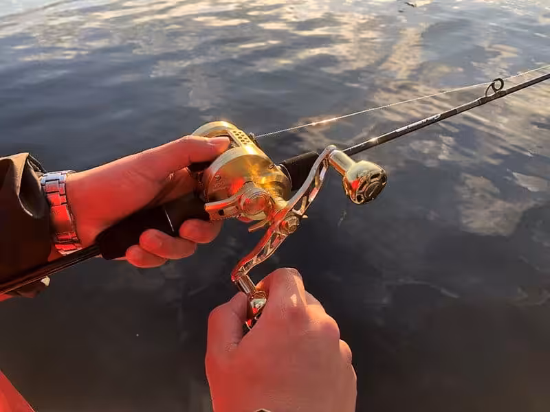 ゴメクサス　22オシアコンクエスト