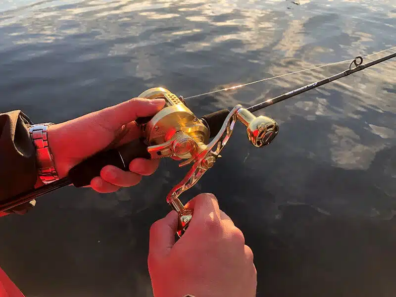 ゴメクサス　22オシアコンクエスト